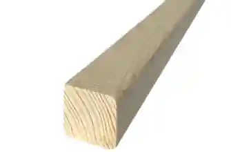 1001443685 1