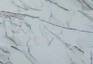 1001480642 2