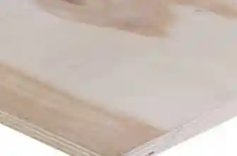 11988050