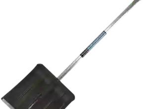 12419992