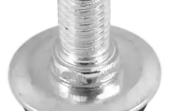 82066730