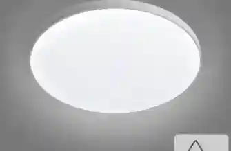 84804361