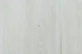 91034012