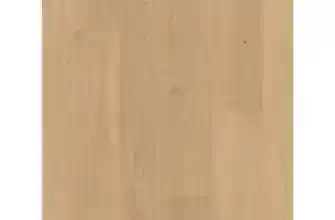 91213496